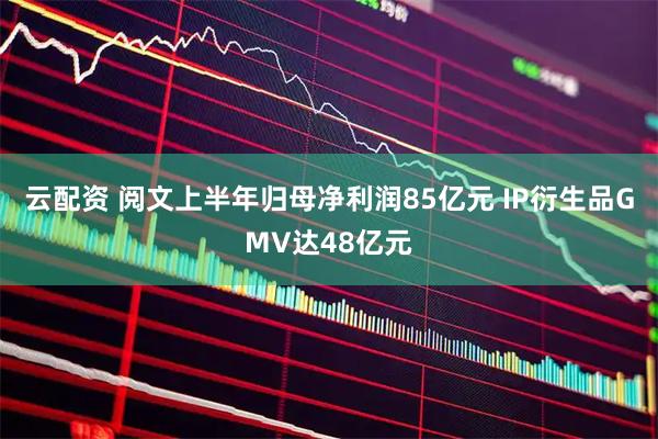 云配资 阅文上半年归母净利润85亿元 IP衍生品GMV达48亿元